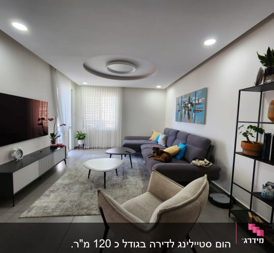 סלון מודרני עם ספה אפורה, מדפים וצמחייה